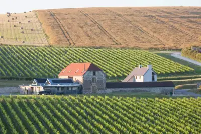 Rathfinny Vineyard and Tasting Rooms